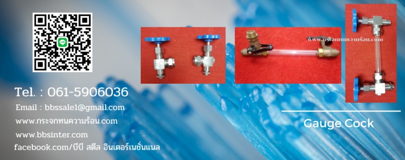 Stainless Steel Water Gauge Cock