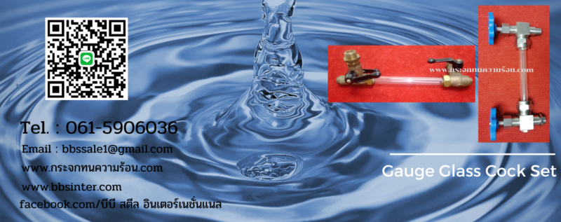 gauge glass cock set