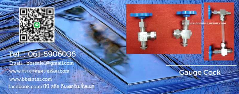 stainless steel gauge glass