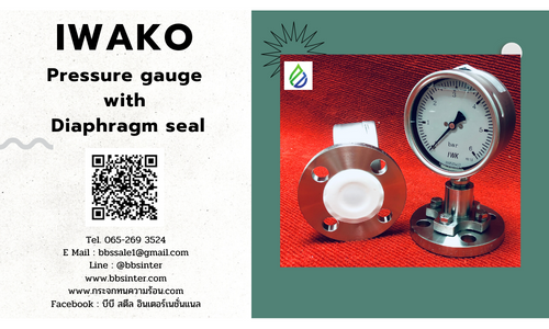 pressure gauge with diaphragm seal used