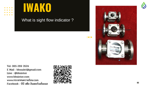 what is sight flow indicator