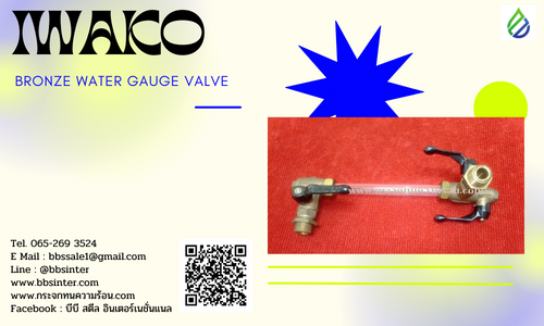 bronze water gauge valve