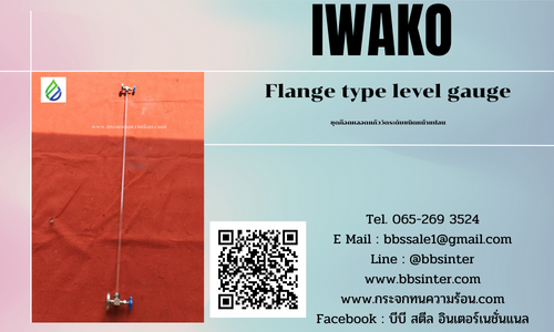 flange type level gauge