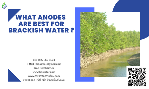 what anodes are best for brackish water