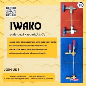 Sight Glass Level Gauge Cock Valve IWAKO