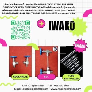 Stainless Steel Gauge Cock