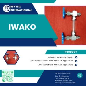 Stainless Steel Gauge Cock Valve with Tube Sight Glass Level Indicators