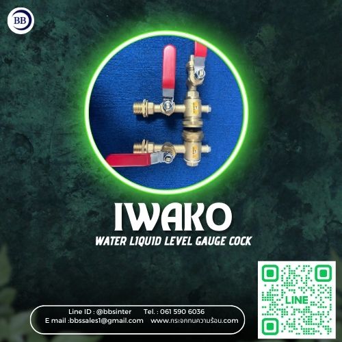 cock level gauge glass