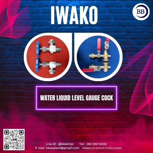 cock valve level gauge
