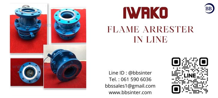 flame arrestor carbon steel iwako