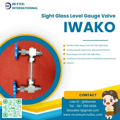 glass tube level gauge cock