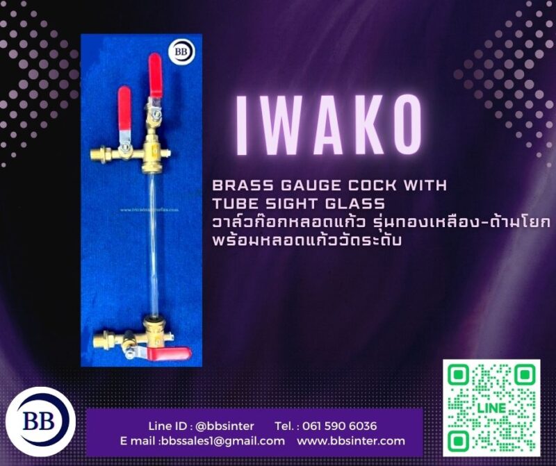 brass gauge cock iwako