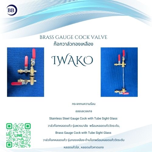 iwako brass gauge glass cock set