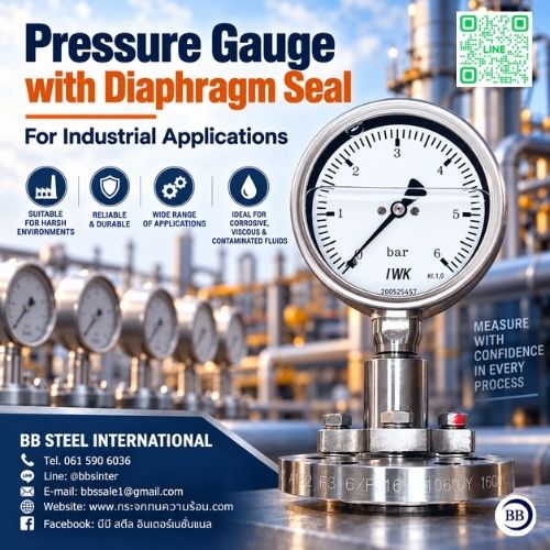 pressure gauge with diaphragm seal